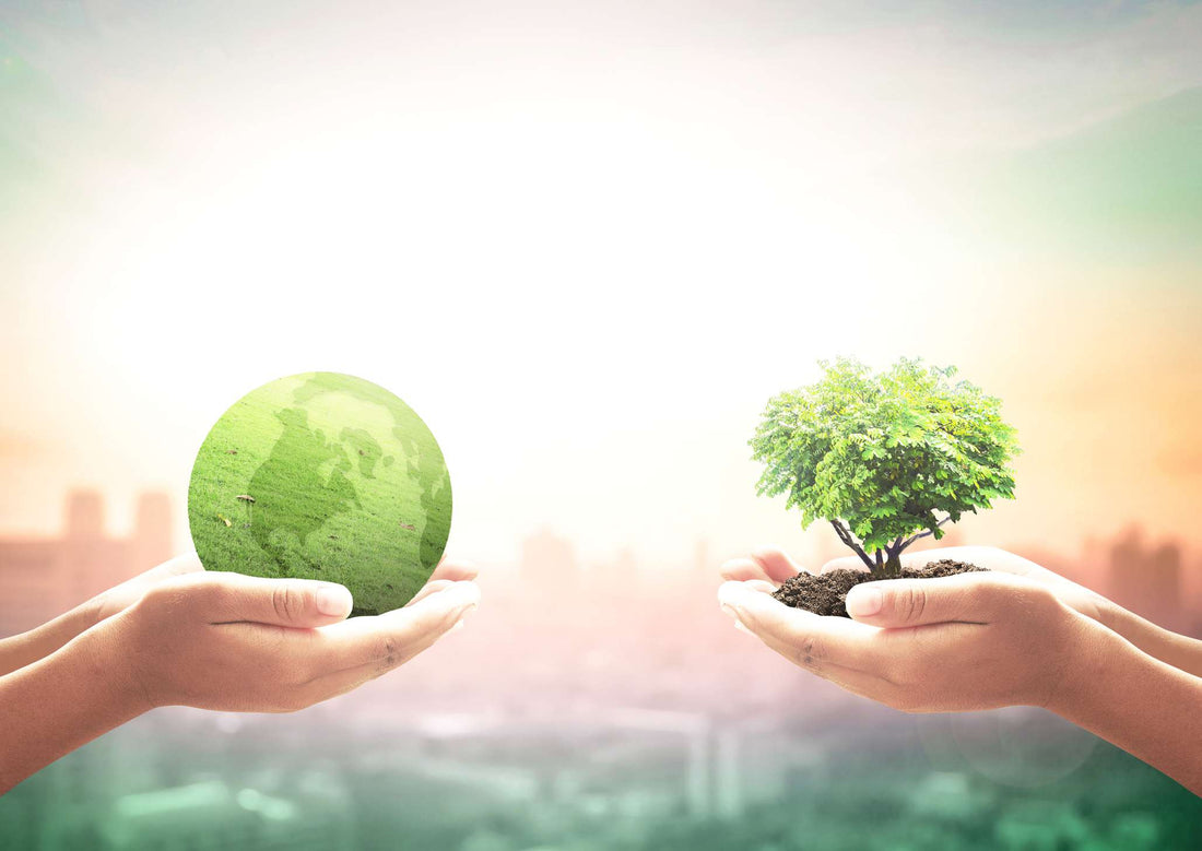 Green Investments: Making a Positive Impact on Your Portfolio and the Planet